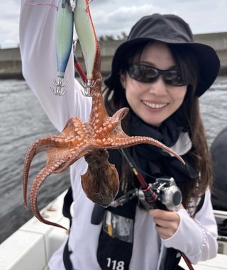 タコ