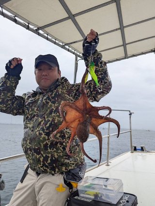 マダコ