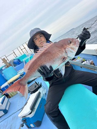 マダイ