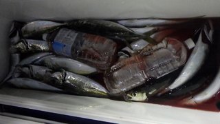 アジ