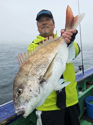 マダイ