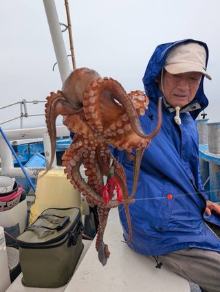 タコ