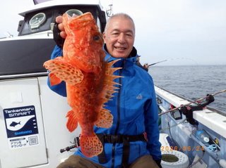 クロムツ