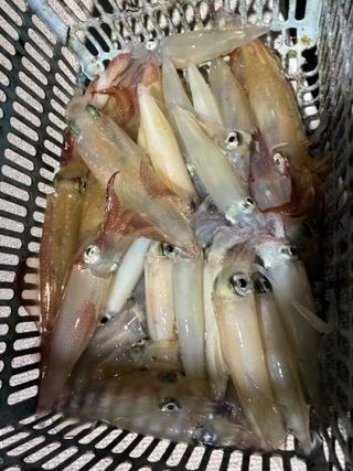 マイカ