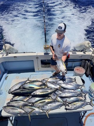 カツオ