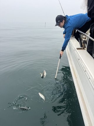 アジ