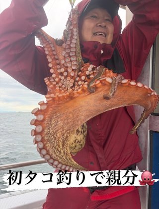 マダコ
