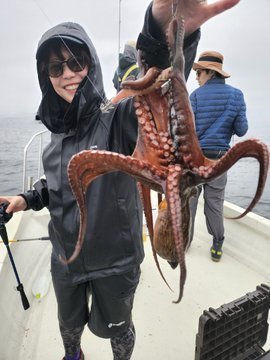 タコ