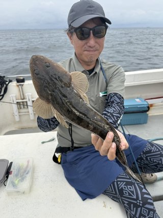 マゴチ