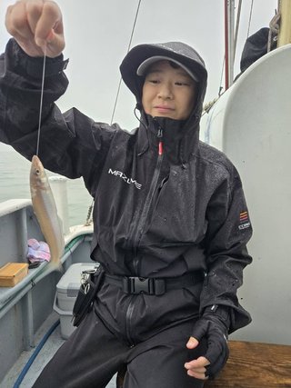 シロギス