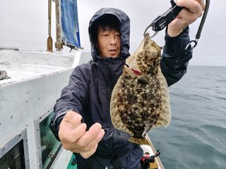 ヒラメ