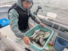 アジ