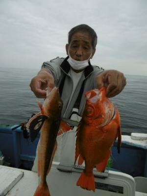 ハタ