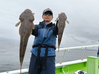 マゴチ