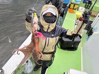 マダコ