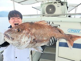 マダイ