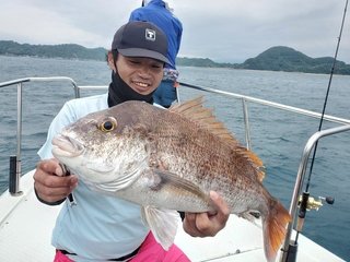 マダイ