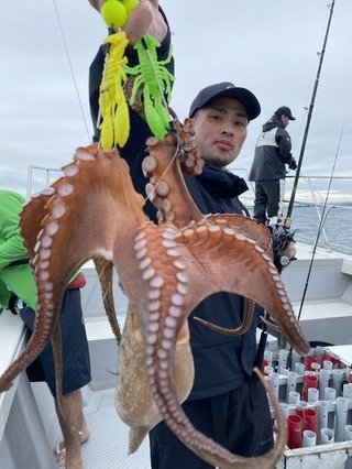 タコ