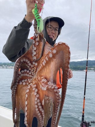 タコ