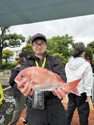 マダイ