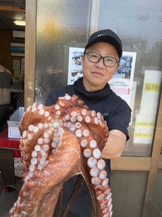 マダコ