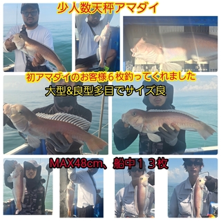 シロアマダイ