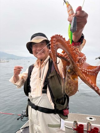 タコ