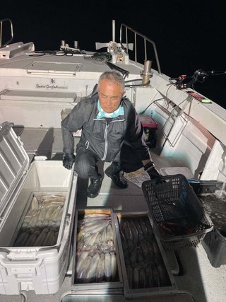 ヤリイカ