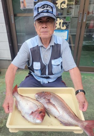 マダイ