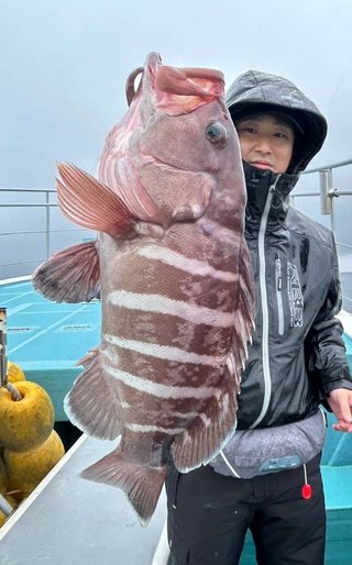 マハタ