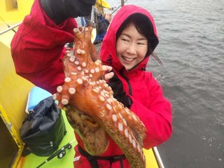 マダコ