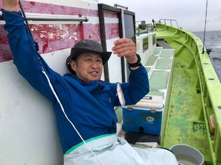 マゴチ