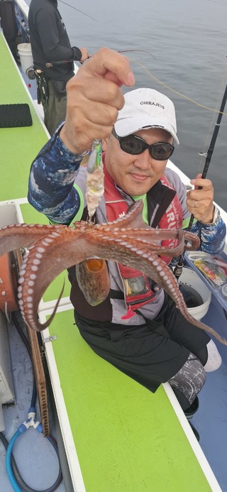 タコ
