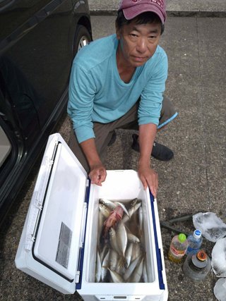 アジ