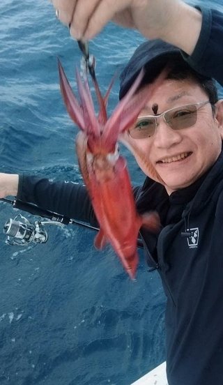 ヤリイカ