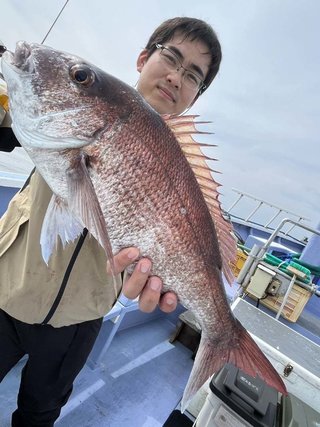 マダイ