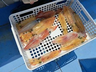 マルイカ