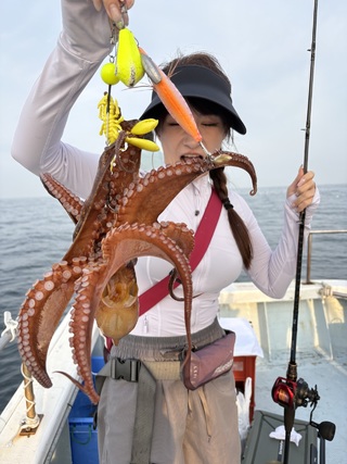 マダコ