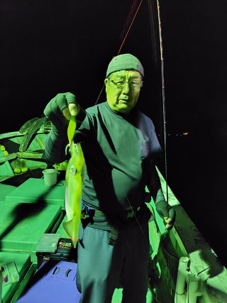 シロイカ