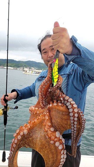 タコ