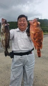 アラ