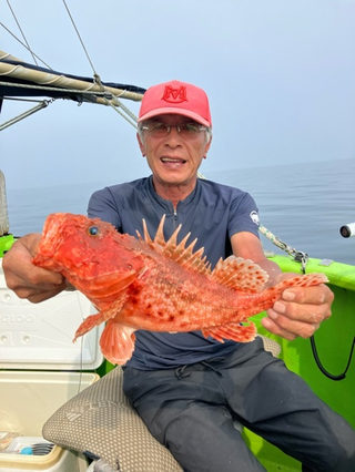 オニカサゴ