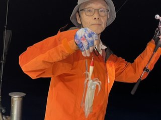 ヤリイカ