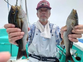 イサキ