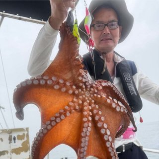 タコ
