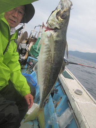 アジ