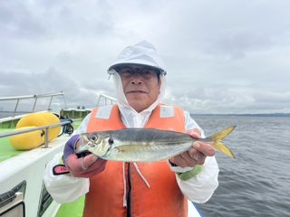 アジ