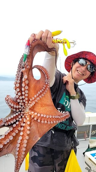 タコ