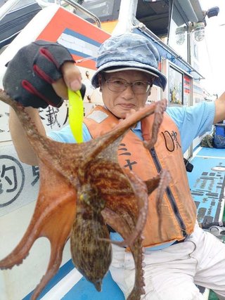 マダコ
