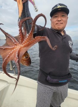 タコ